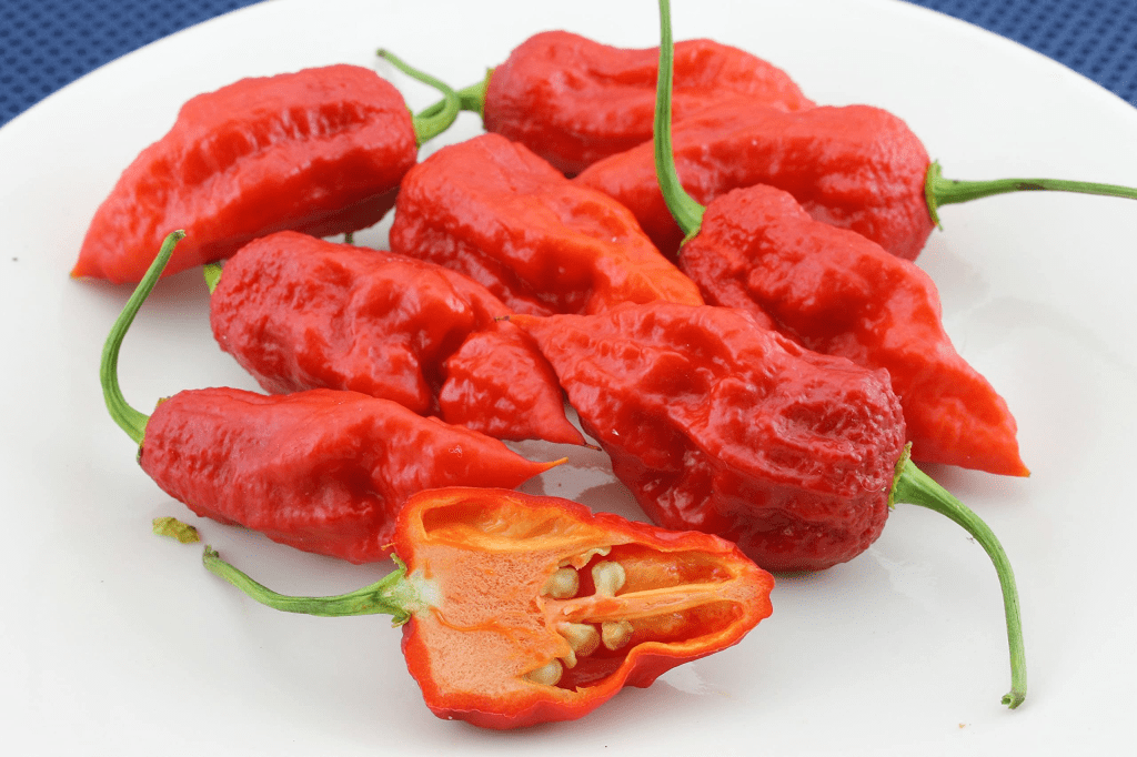 Bhut Jolokia