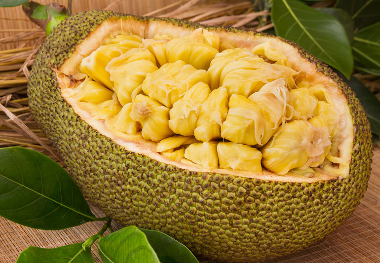 Jackfruit is highly nutritious and is rich in fiber, protein, and a variety of vitamins and minerals. It's also low in calories and fat, making it a great addition to a healthy diet. In fact, jackfruit is often used as a meat substitute in vegetarian and vegan dishes due to its meat-like texture and ability to absorb flavors. 